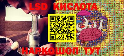 ПСИЛОЦИБИНОВЫЕ ГРИБЫ Кингисепп