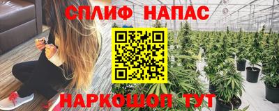 прущие крисы Кимры