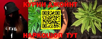 индика Кинель
