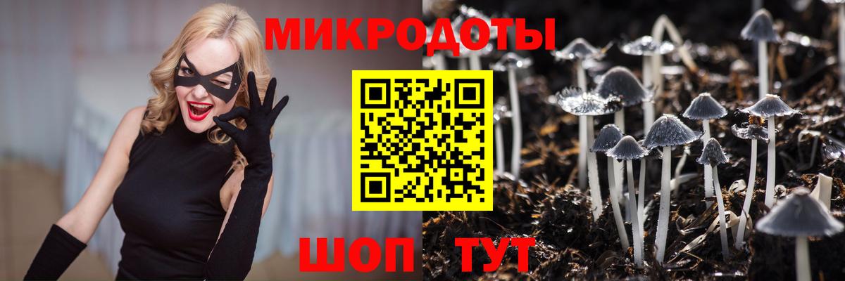 Донской  Псилоцибиновые грибы мицелий  Галлюциногенные грибы GOLDEN TEACHER  Вход с VPN 